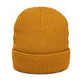 Haiti World Cup Heritage Beanie