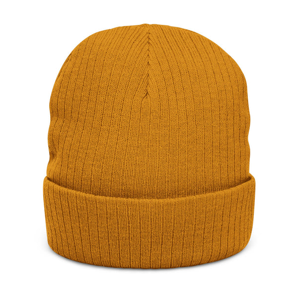 Haiti World Cup Heritage Beanie